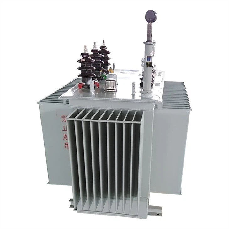 3 Theem Roj Immersed Hom Distribution Transformer